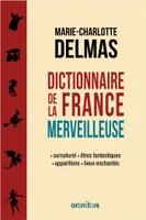 Dictionnaire de la France merveilleuse