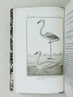 Histoire Naturelle des Oiseaux, par Leclerc de Buffon. Tome Vingt-Cinquième [ Tome 25 seul ] Rédigé par C.S. Sonnini