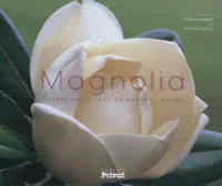 Magnolia, l'arbre fleur venu du nouveau monde