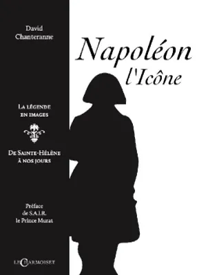 Napoléon l'icône, La légende en images, de sainte-hélène à nos jours