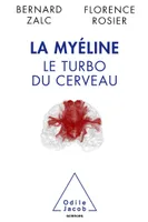 La Myéline, Le turbo du cerveau