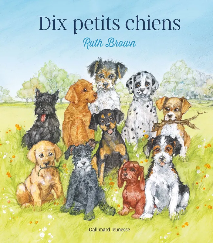 Livres Jeunesse de 3 à 6 ans Albums Dix petits chiens Ruth Brown