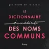 DICTIONNAIRE IMMEDIAT DES NOMS COMMUNS (LE)