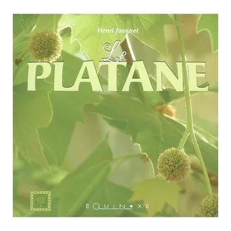 PLATANE (LE)