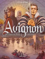 Avignon Tome 2, Du temps des papes à nos jours
