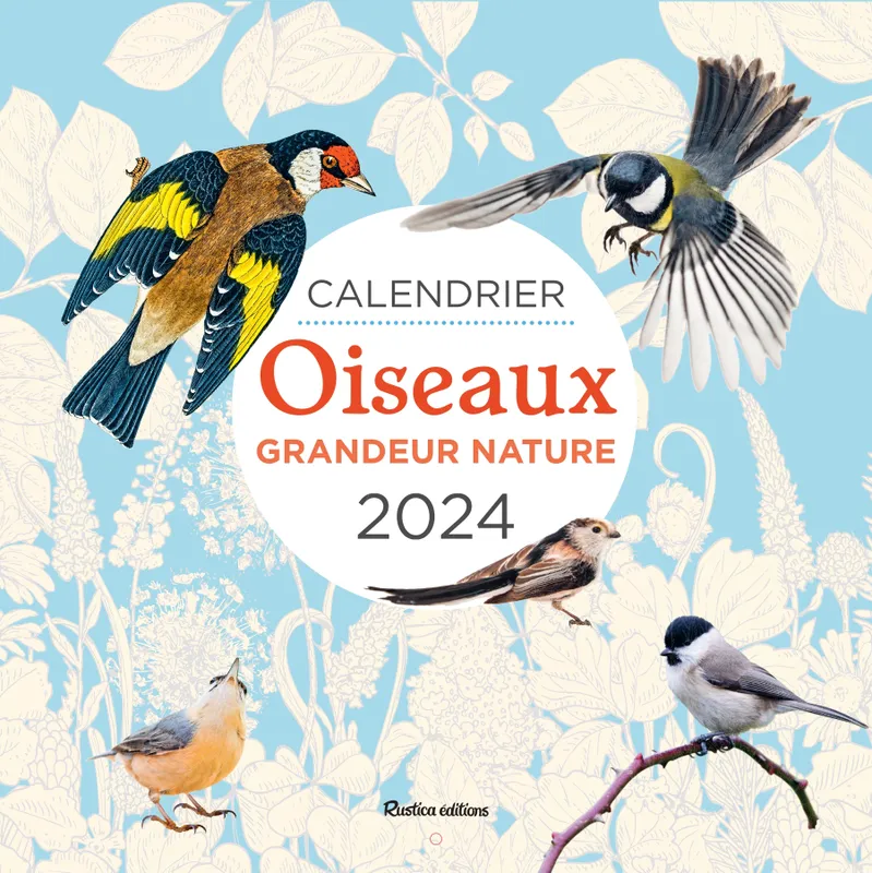 Calendrier mural Oiseaux grandeur nature 2024 - Guilhem Lesaffre -  Librairies Sorcières