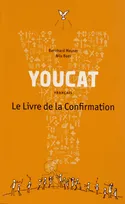 Youcat Français, Le livre de la confimation