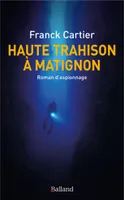 Haute trahison à Matignon, Roman d'espionnage