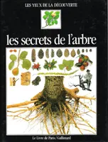 Les Secrets de L'arbre . Complet De Son Poster