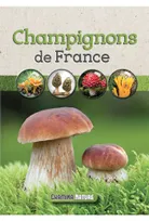 Champignons de France