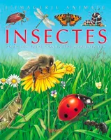 Les insectes, pour les faire connaître aux enfants