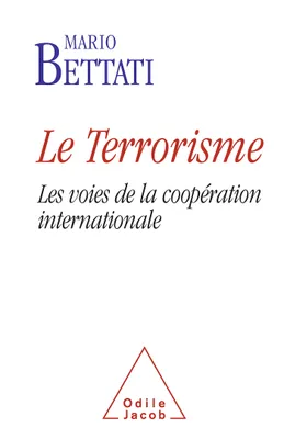 Le Terrorisme, Les voies de la coopération internationale