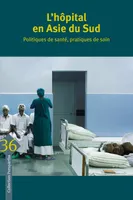 L’hôpital en Asie du Sud, Politiques de santé, pratiques de soin