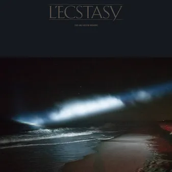 LP / L Ecstacy - 2 LP / Tiga And Hudson Moha