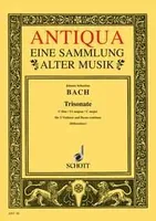 Triosonata C Major, BWV 1037. 2 violins and basso continuo (harpsichord, piano), cello (viola da gamba) ad libitum.