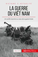 La guerre du Viêt Nam, Un conflit meurtrier au coeur de la guerre froide