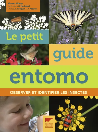 Livres Écologie et nature Nature Faune Le Petit guide entomo, Observer et identifier les insectes Vincent Albouy