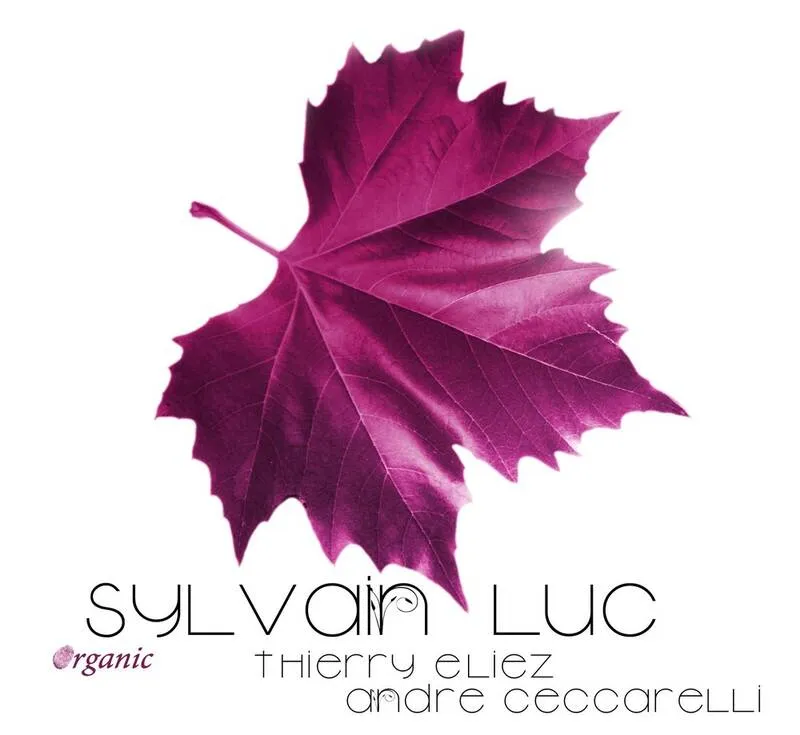 CD, Vinyles Jazz, Blues, Country Jazz Organic Sylvain Luc