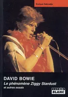 DAVID BOWIE Le phénomène Ziggy Stardust, le phénomène Ziggy Stardust et autres essais