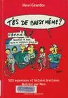 T'es de Brest même ? : 500 expressions et histoires brestoises