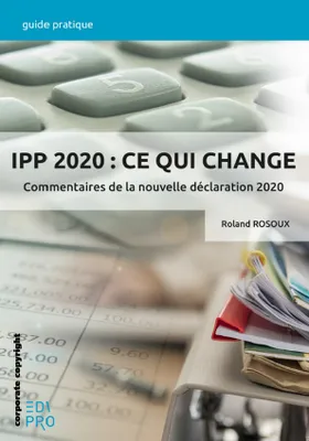 IPP 2020 : ce qui change, Commentaires de la nouvelle déclaration 2020
