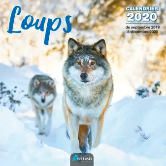 CALENDRIER LOUPS 2020