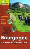 Bourgogne (Côte-d'Or et Saône-et-Loire), Guide Géologiques, 10 itinéraires de randonnées détaillées, 11 fiches découverte