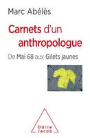 Carnets d'un anthropologue, De mai 68 aux gilets jaunes