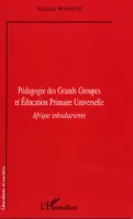 Pédagogie des Grands Groupes et Education Primaire Universelle, Afrique subsaharienne