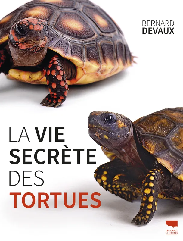 Livres Écologie et nature Nature Faune La vie secrète des tortues Bernard Devaux