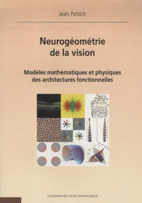 Neurogéomètrie de la vision, Modèles mathématiques et physiques des architectures fonctionnelles