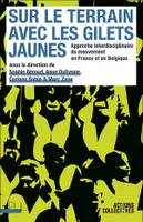 Sur le terrain avec les Gilets jaunes, Approche interdisciplinaire du mouvement en France et en Belgique