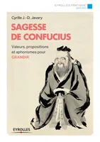 Sagesse de Confucius, Valeurs, propositions et aphorismes pour grandir