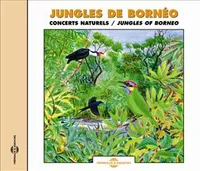 CD / SONS NATURELS / Jungle De Bornéo : Concerts naturels