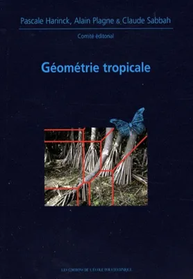 Géométrie tropicale, Journées mathématiques X-UPS 2008
