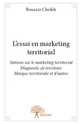 L'essai en marketing territorial, Notions sur le marketing territorial – Diagnostic de territoire – Marque territoriale et d’autres