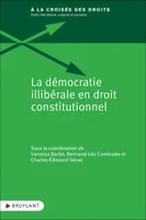 La démocratie illibérale en droit constitutionnel