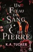 Un Fléau de Sang & de Pierre, Une romantasy fascinante, un amour interdit tout en tension