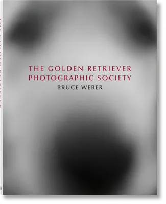 The golden retriever photographic society