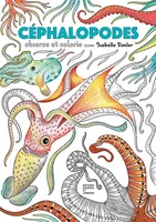 Observe et colorie avec Isabelle Simler, Céphalopodes