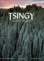 TSINGY - FORET DE PIERRE - MADAGASCAR, forêt de pierre, Madagascar