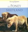 Le poney shetland