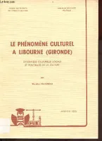 Le phénomène culturel à Libourne (Gironde), Dynamique culturelle locale et politiques de la culture
