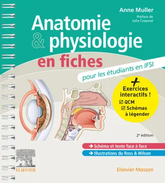 Anatomie et physiologie en fiches pour les étudiants en IFSI, Avec un site Internet d'entraînements interactifs