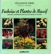 Fuchsias et plantes de massif