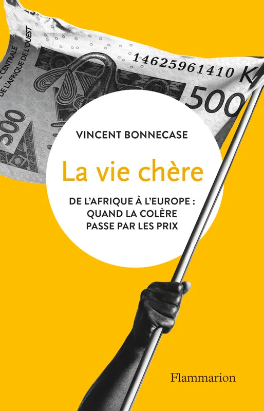 Livres Économie-Droit-Gestion Sciences Economiques La vie chère, De l'Afrique à l'Europe : quand la colère passe par les prix Vincent Bonnecase