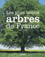 Les Plus beaux arbres de France