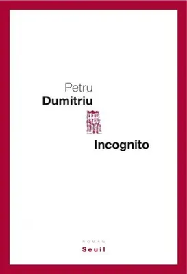 Incognito, roman