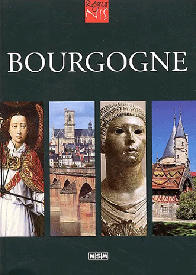 Livres Histoire et Géographie Géographie Bourgogne Julie Roux