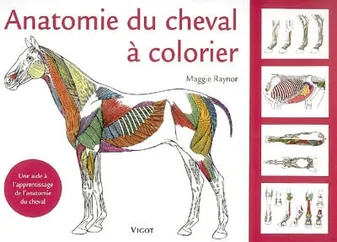 Anatomie du cheval à colorier, une aide à l'apprentissage de l'anatomie du cheval